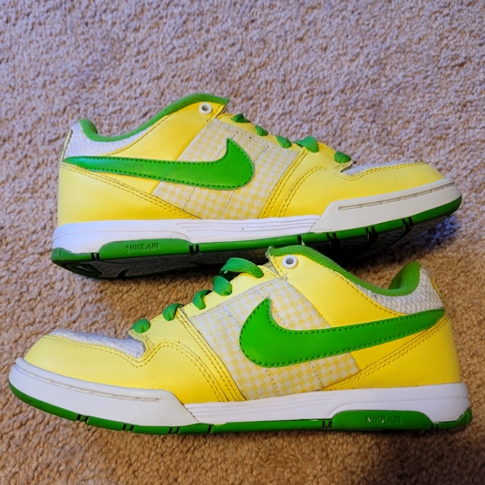 Hemp Nike dunk low SB 6.0